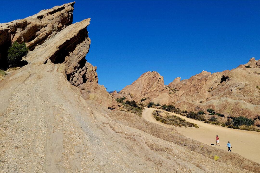 The Treasures of Agua Dulce