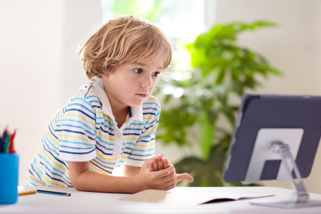 Albanese Government to Amend Copyright Act to Enhance Online Learning