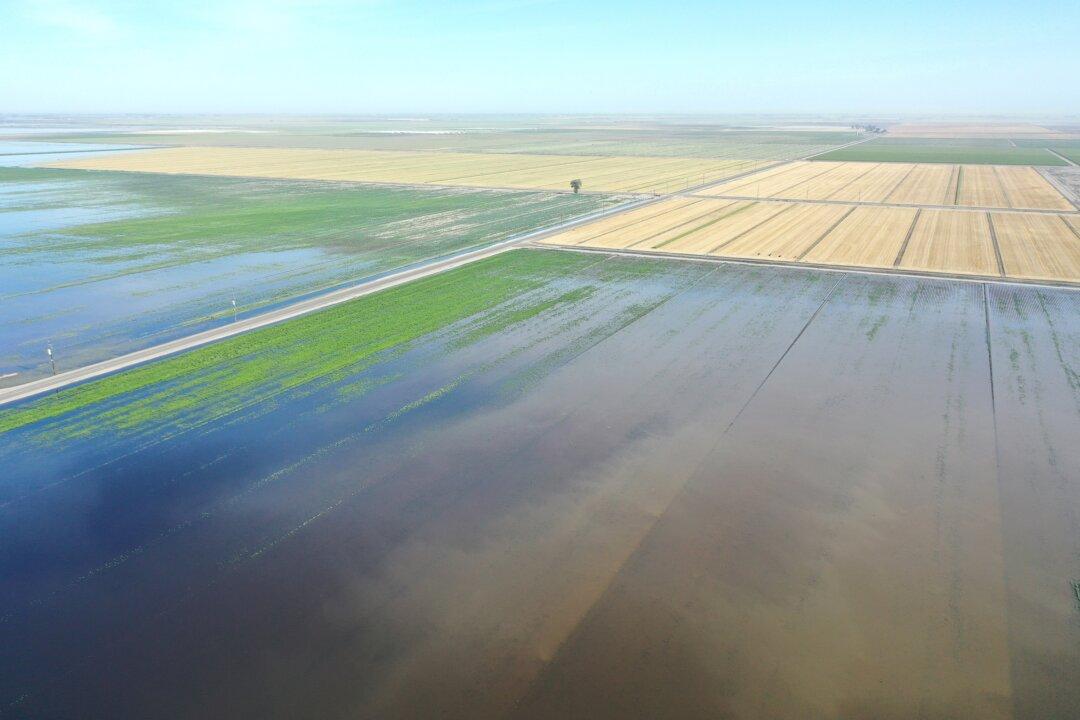 Death by Ecology: Killing California, America Next?