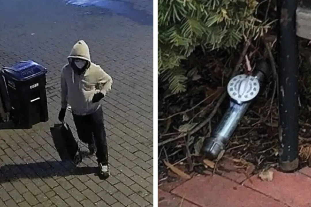 Jan. 6 Pipe Bomb Suspect Indicted on Federal Explosives Charges