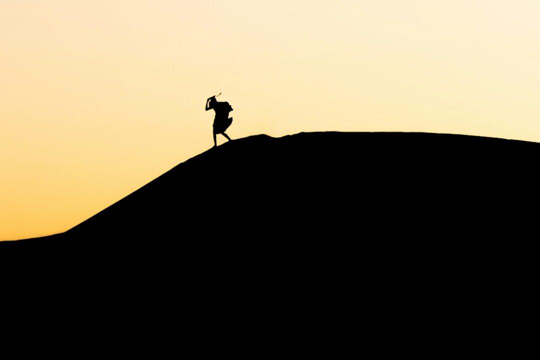 Higher Education Reform, Civic Thought, and Liberal Education