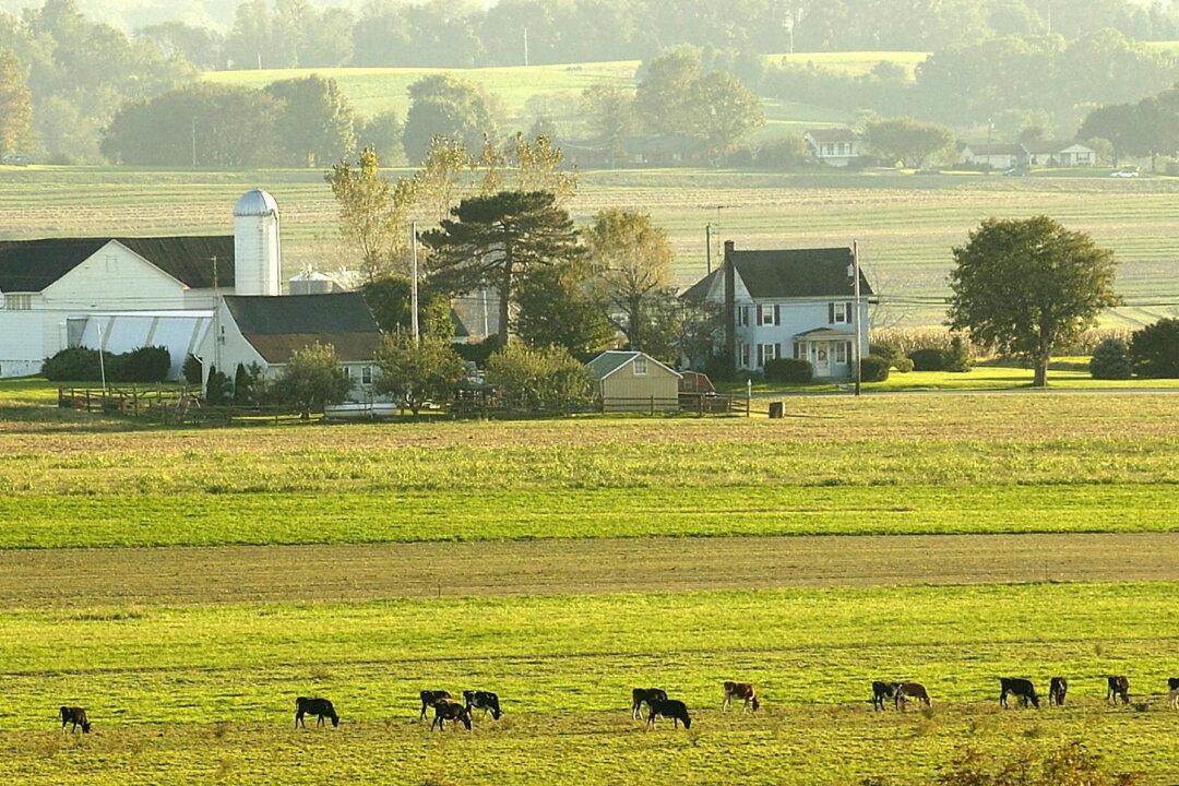 Amish Farmer Alleges Government Agency Falsified Evidence, Hid Results After Raid