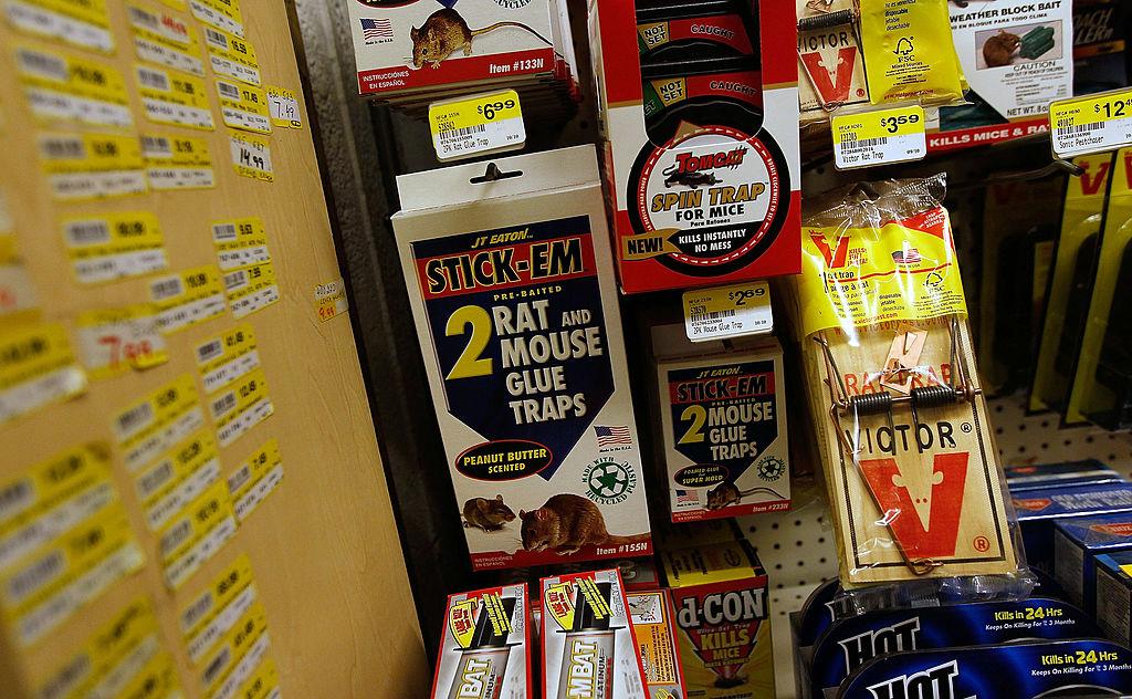 California City Bans ‘Extremely Cruel and Painful’ Animal Glue Traps