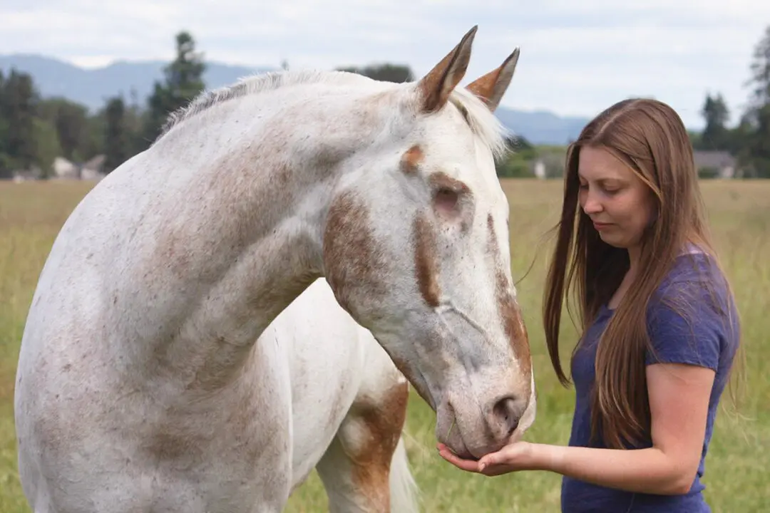 Blind Horse Defies Disability, Sets 3 World Records With the Help of an Owner Who Never Gave Up