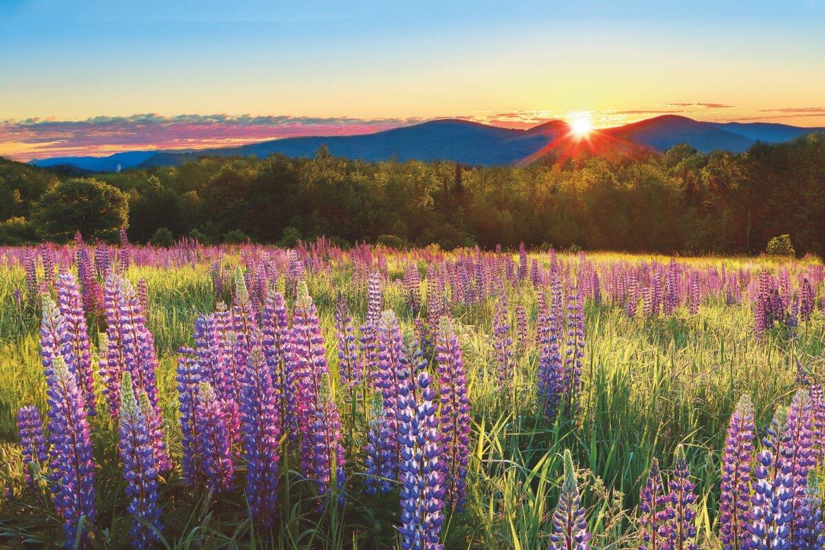 Sugar Hill, New Hampshire. (JROP/Getty Images)