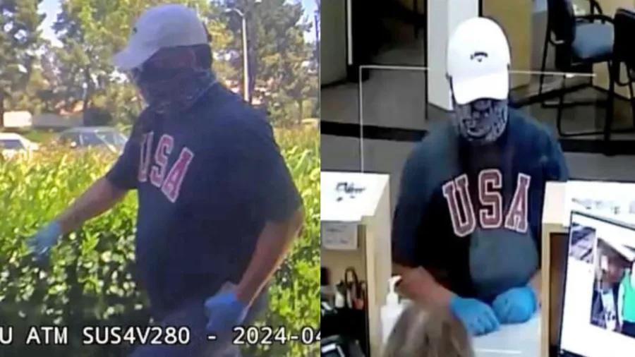 When Vintage Violins Are Stolen, Someone Has to Face the Music