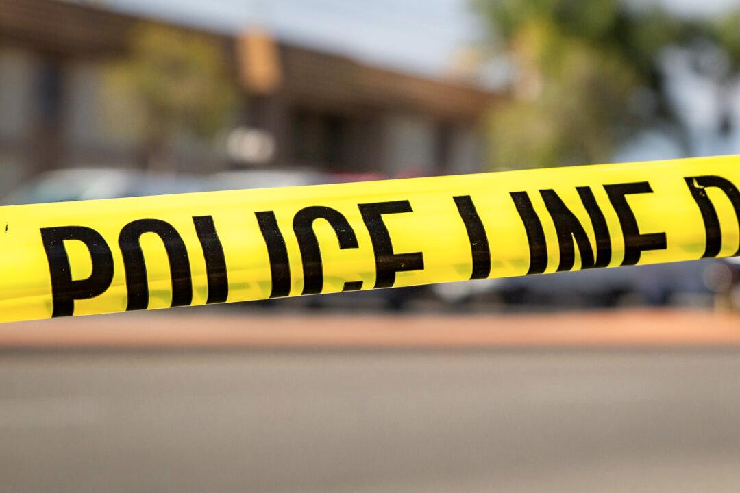 Illegal Migrants Less Likely to Commit Crime? Guess Again.