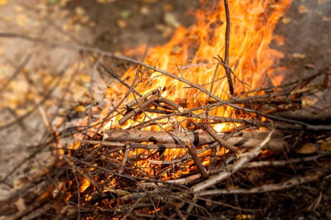 How to Cut $2 Trillion of Fat From the Federal Budget