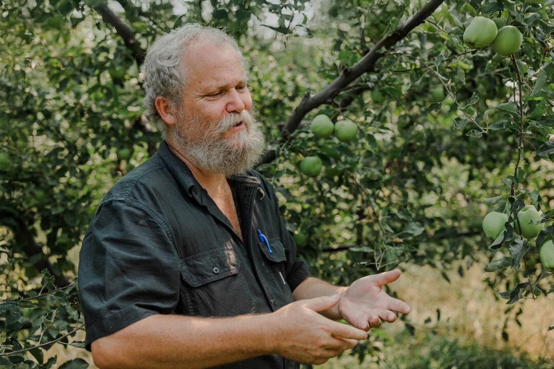 How to Build a Long-Term Food Storage Supply, According to Azure Standard CEO