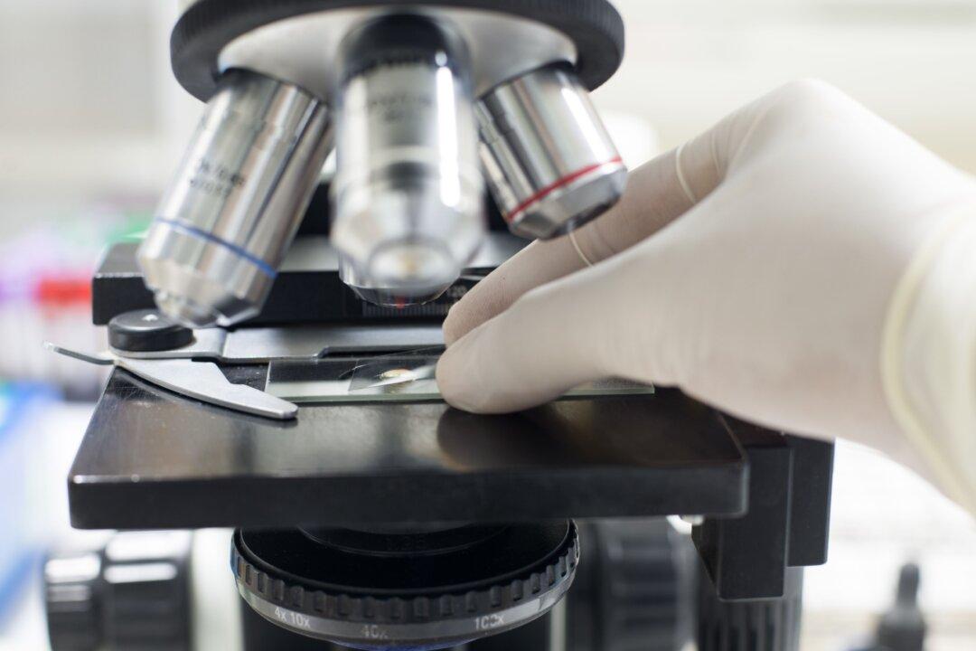 It’s Time to Return to the Principle of ‘Trust but Verify’