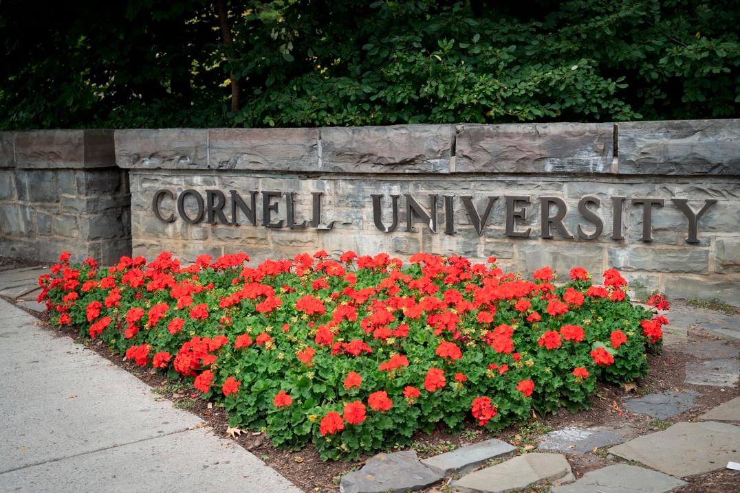 Alumni ‘Deeply’ Concerned Over Alleged Systemic Discrimination at Cornell University