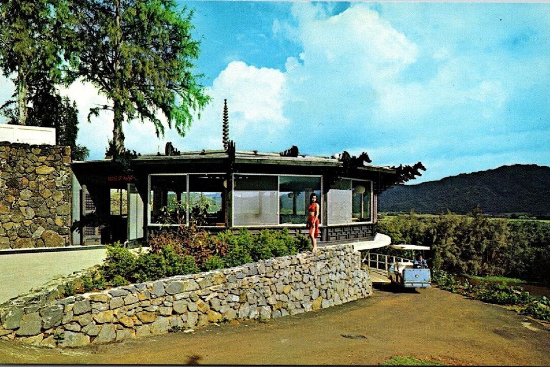 A Trek Through the Kaua'i Jungle Yields Hidden Treasures