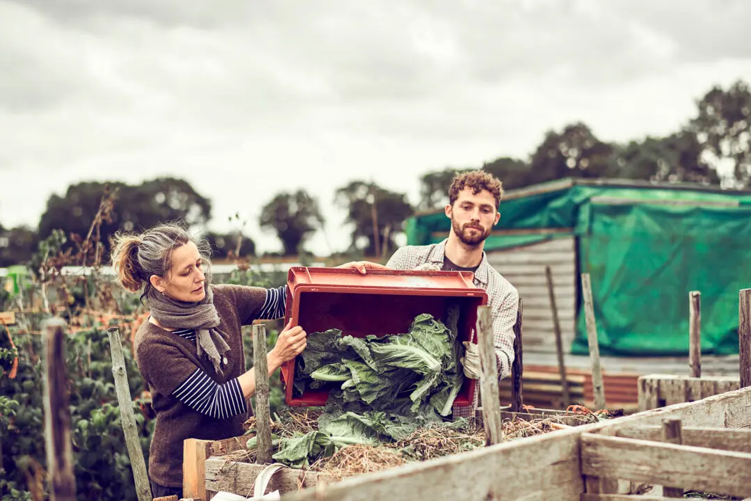 How to Keep Composting Through Winter