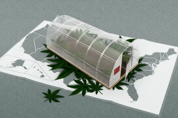 How Chinese Syndicates With Ties to CCP Took Over Marijuana Black Market in US