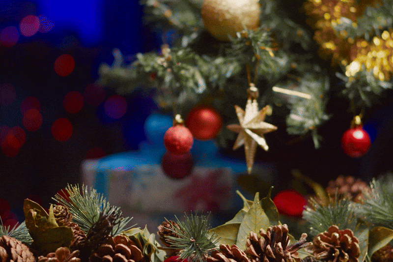 Rituals Change Your Brain in Ways Habits Never Will