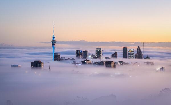 24 Hours in Auckland