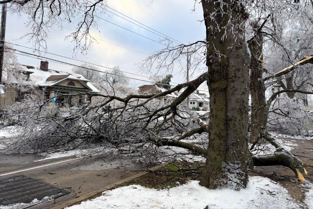 As Millions Recover From Winter Storms, Scam Warnings Intensify