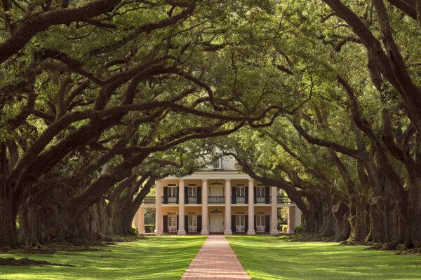 Oak Alley Plantation: A Stately Mansion Among Treasured Trees