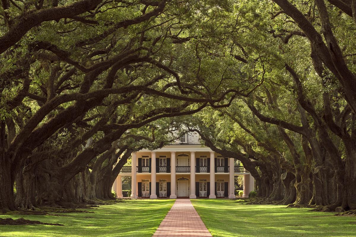 Oak Alley Plantation: A Stately Mansion Among Treasured Trees