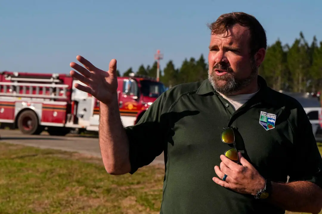 Georgia Declares State of Emergency as Wildfires Rage
