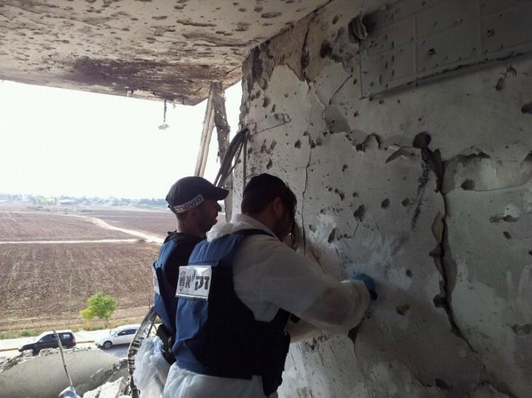 <a><img class="size-large wp-image-1774395" src="https://www.theepochtimes.com/assets/uploads/2015/09/Zaka_David-Rose1.jpg" alt="" width="590" height="442"/></a>